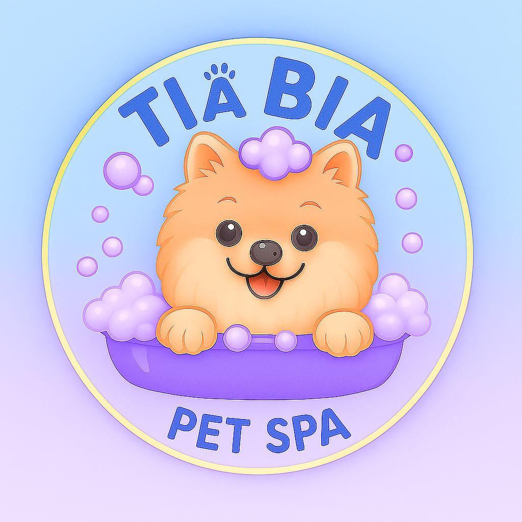 WhatsApp Image 2025-12-23 at 16.17.32